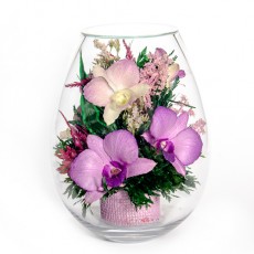 FIORA Арт: 42676 цветы в стекле